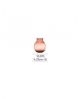 Vase de couleur 5 L