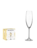 Bohemia Volary Flute Cup 22cl