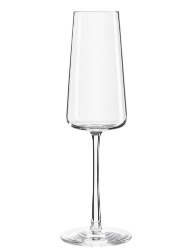Champagne Power Glass 24cl